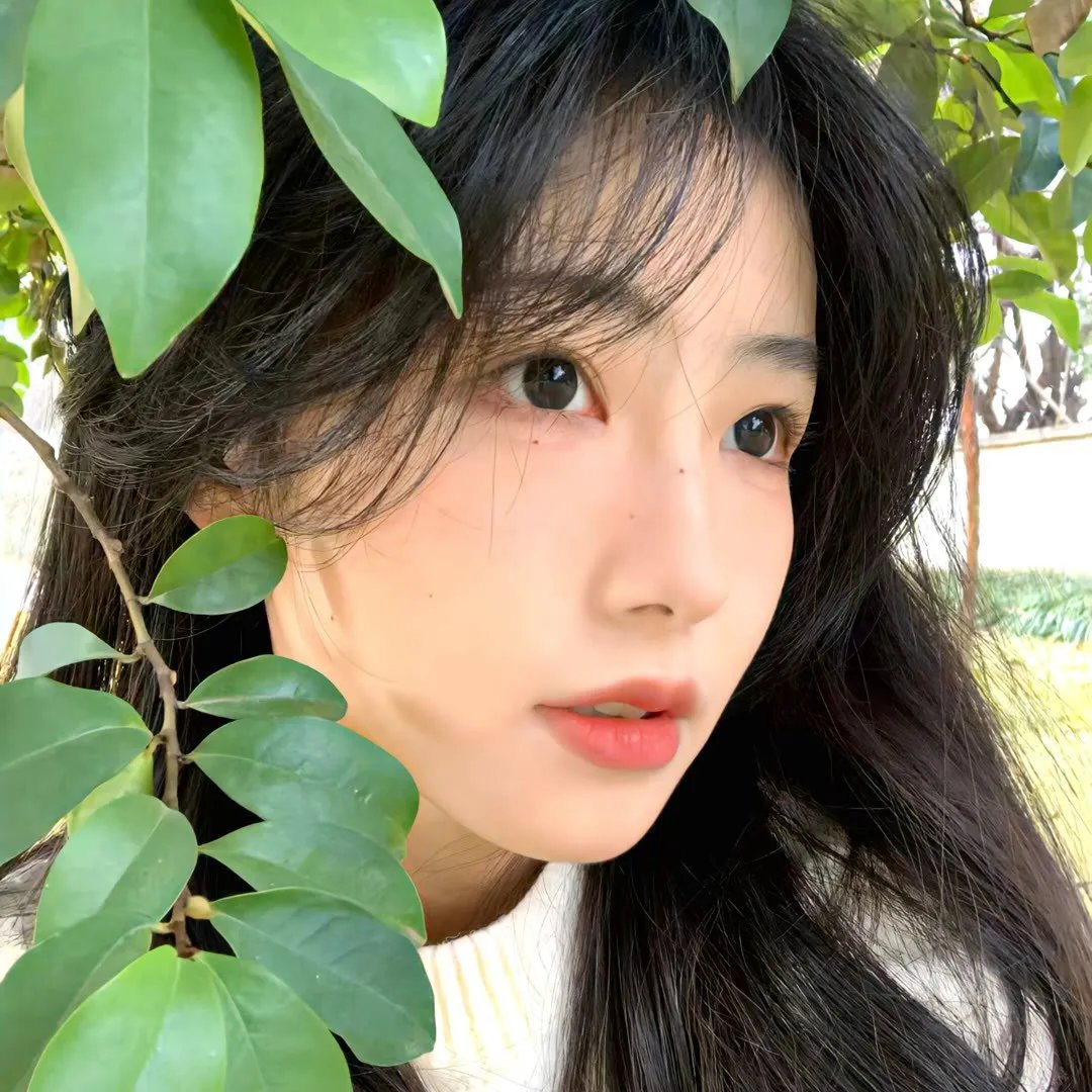 你的请求 海报